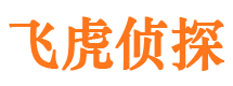 和政调查公司